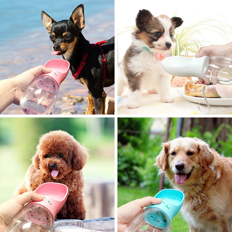 Botella con cuénco integrado y filtro de carbón para mascotas🐾