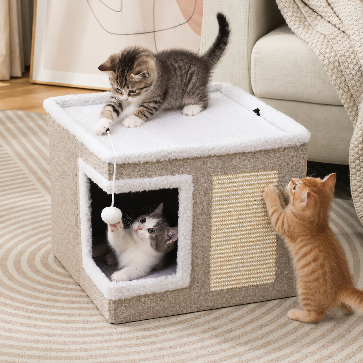 🐾 Taburete-Cama Plegable para Mascotas