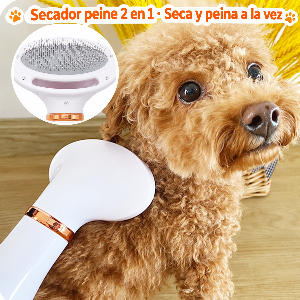 Secador con poodle